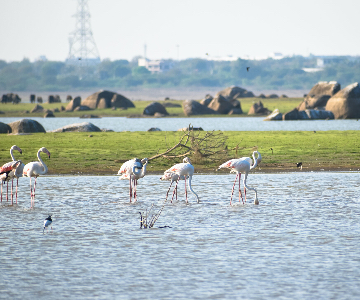 Gemeinsam mit unseren Kunden Wasserprobleme in Indien lösen