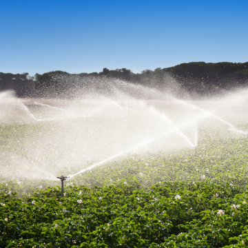 Smart irrigation: How digital tools help cities and growers save water