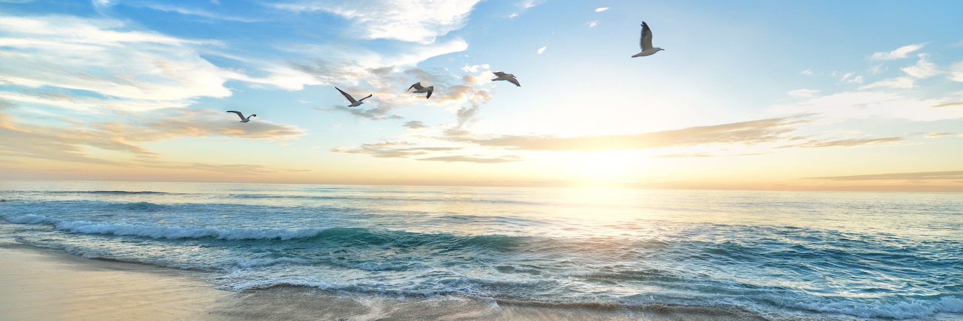 World Oceans Day 2023: Time to put our oceans first