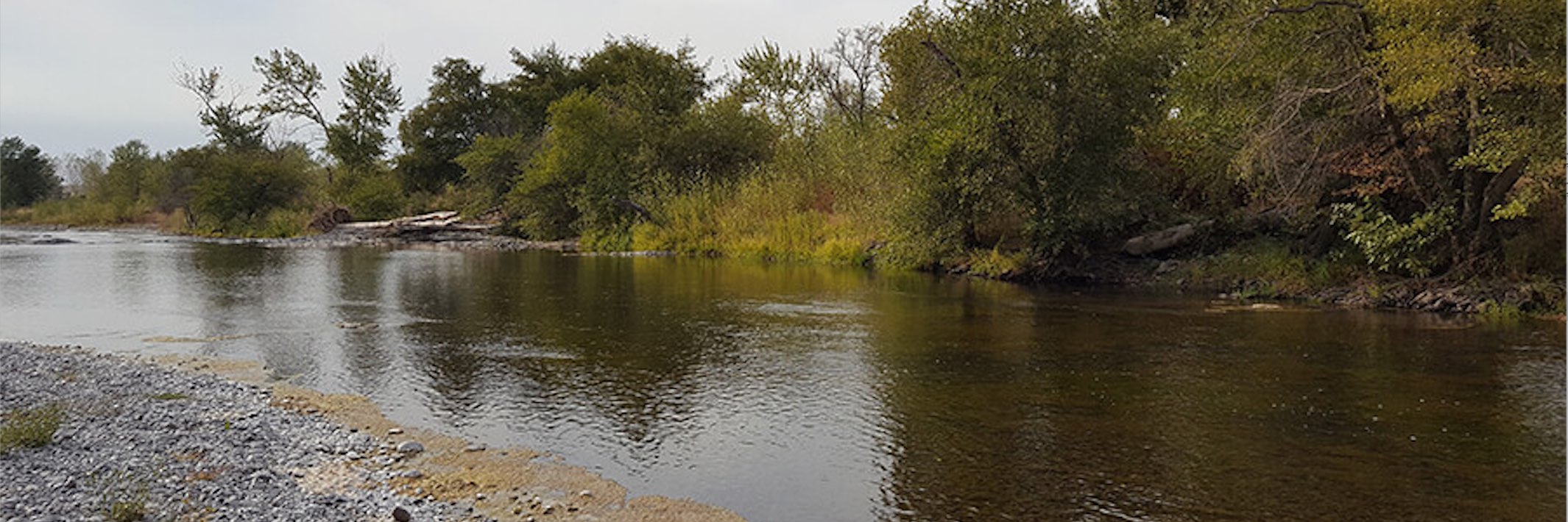 Innovative solution supports freshwater mussel restoration for tribal communities