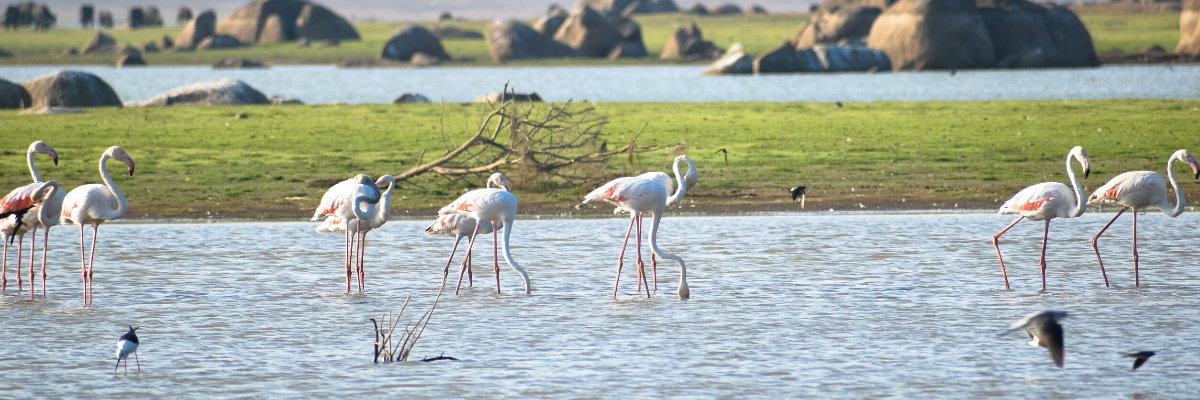 Partnering with our customers to solve water across India