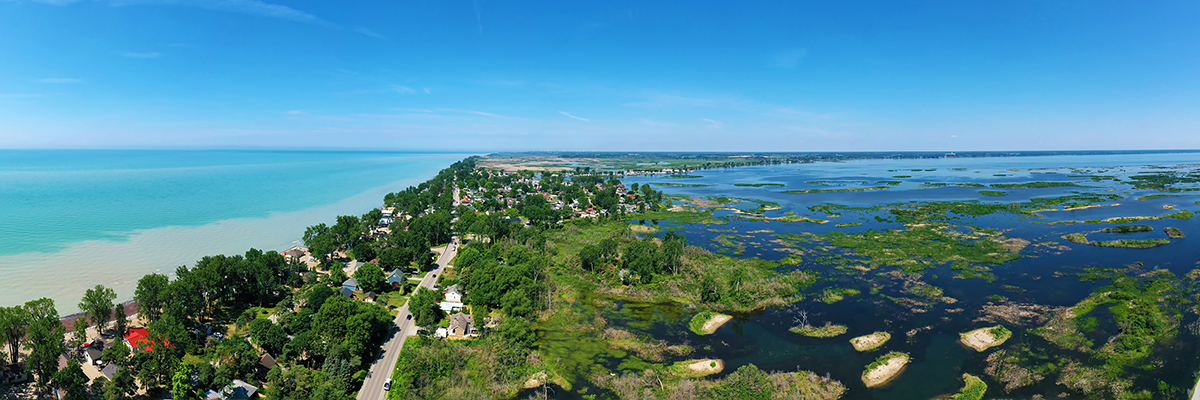 Plankton wars: A student’s journey to solve harmful algae blooms