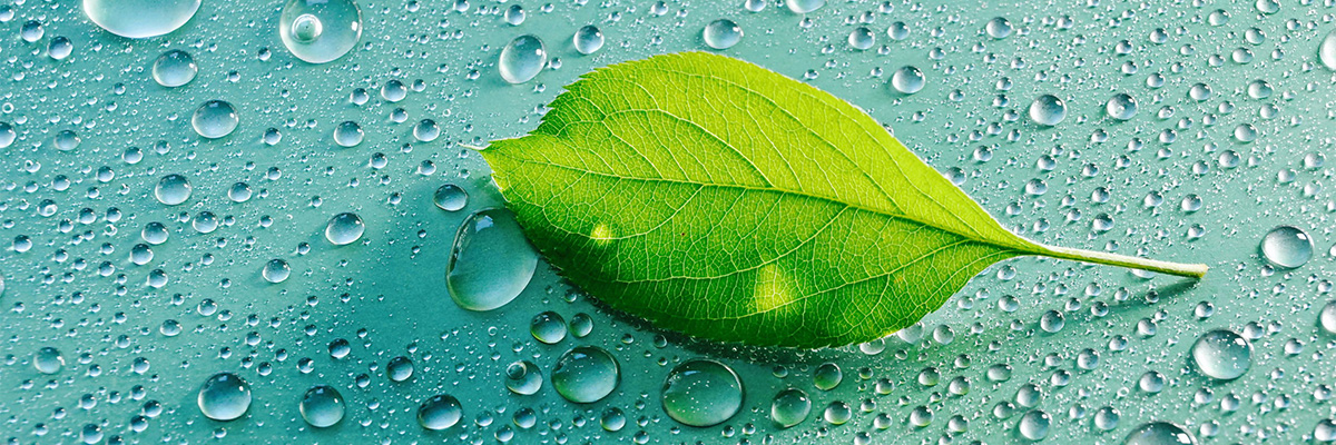 Xylem named to Newsweek’s America's Most Responsible Companies 2021