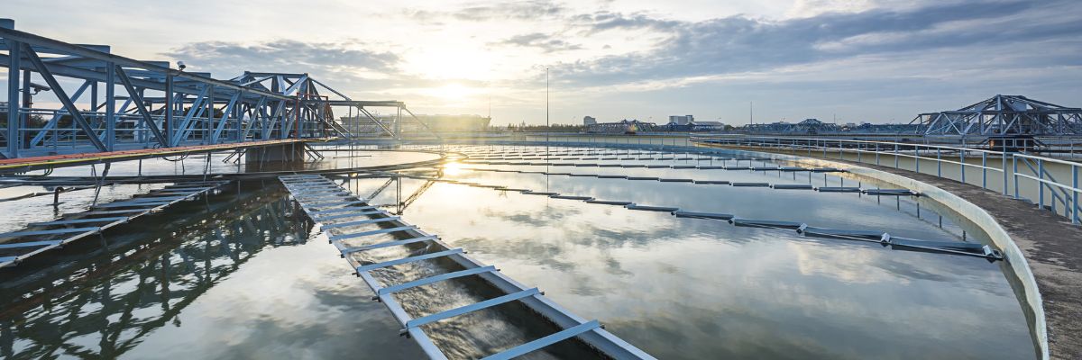 Net-zero Survey: Utilities Racing to Decarbonize