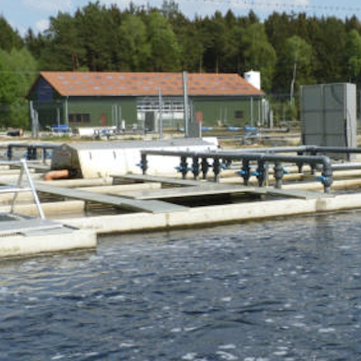 Fish farm