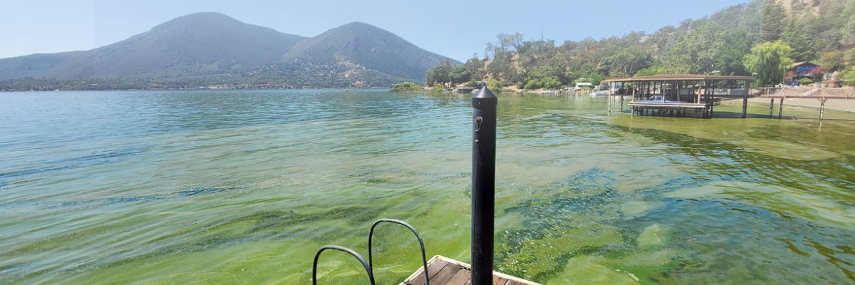 Un veicolo sottomarino di Xylem offre nuovi spunti sulle fioriture di alghe tossiche
