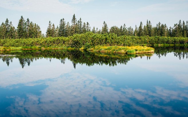 Overflatevann og grunnvann