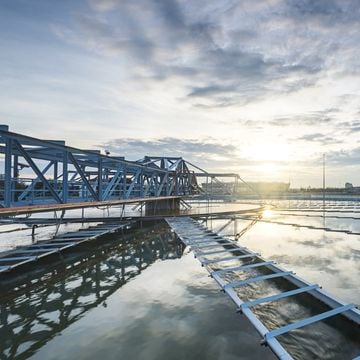 Net-zero Survey: Utilities Racing to Decarbonize