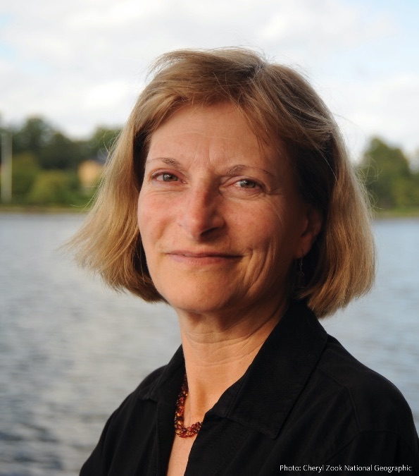 Freshwater thought leader Sandra Postel awarded 2021 Stockholm Water Prize