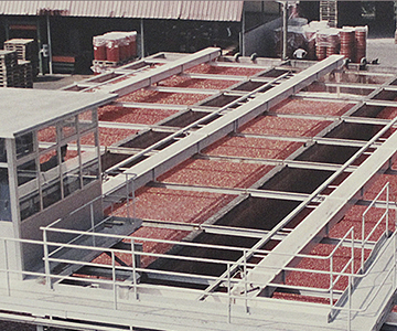 La pompe Flygt de Xylem lave 250 000 tonnes de tomates par an