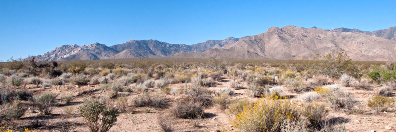 Solución de bombeo con desvío ayuda a proteger el desierto de Mojave