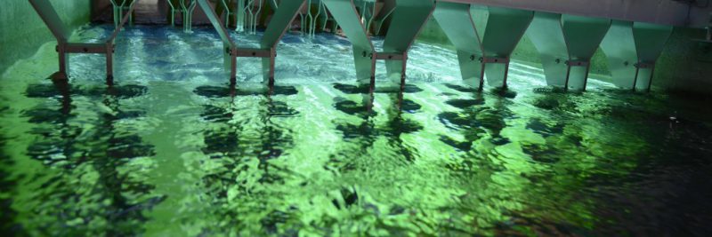 Une solution associant filtration et UV pour le lac de Garde