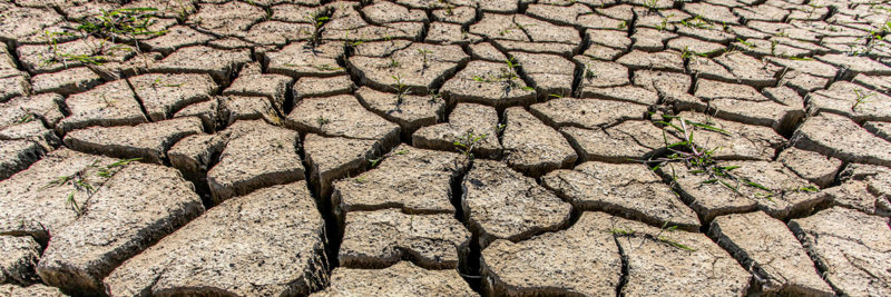 ¿Su servicio de agua está preparado para el cambio climático?