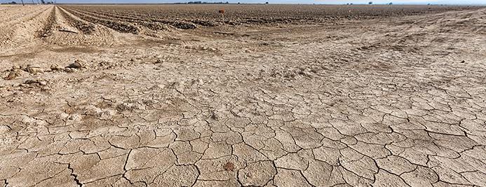 Lessons learned from a dry, dry world