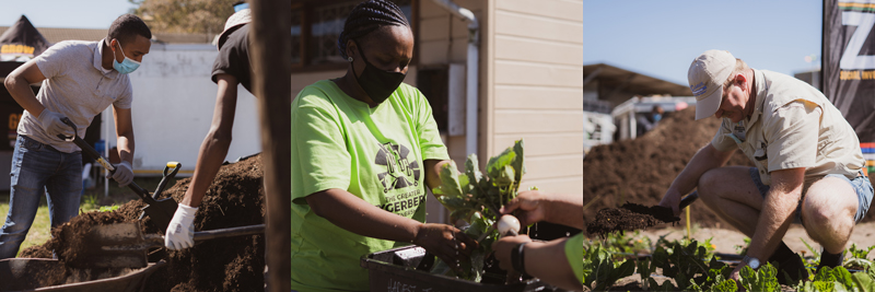 Access to water and food security for homeless community in Bellville