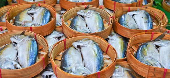 Los océanos no pueden proporcionar alimento suficiente para el crecimiento de la población