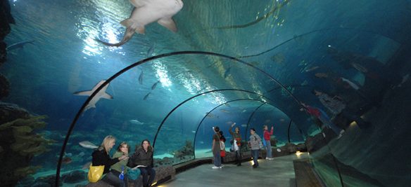 Zoológico de Rótterdam resuelve su problema de ozono