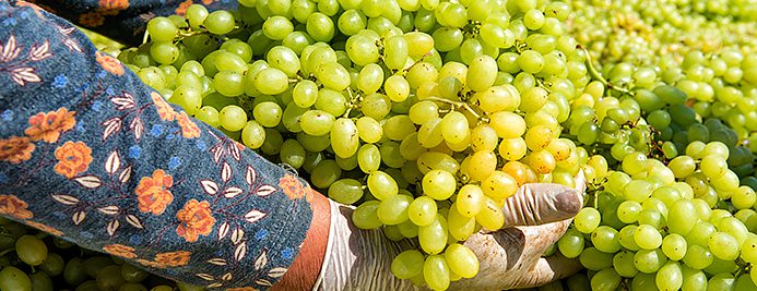 Grâce à la réutilisation de l’eau, une usine de transformation des aliments économise 300 000 $ par an