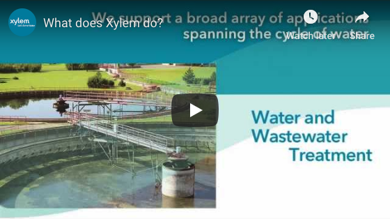 What does Xylem do?