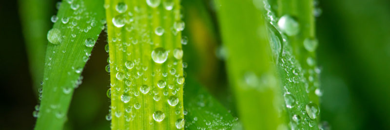 Xylem sustainability report 2015 highlights
