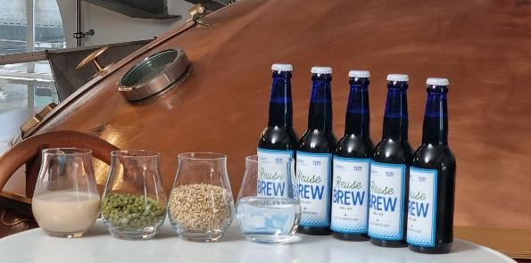 Xylem Reuse Brew