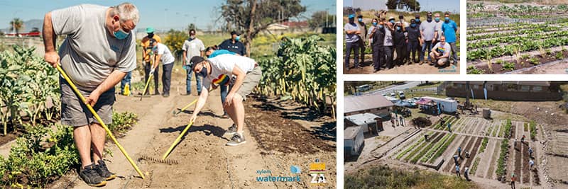 Access to water and food security for homeless community in Bellville