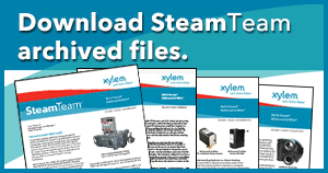 SteamTeam_pdf-download-300x158.png