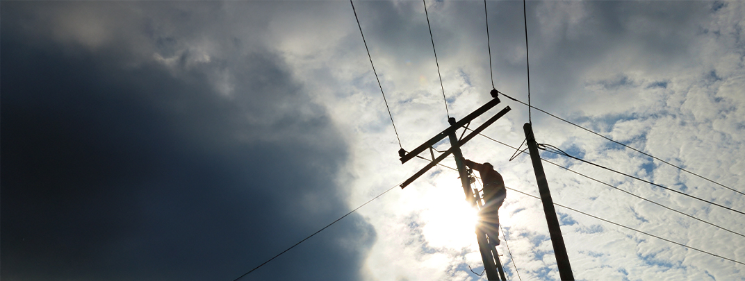 Smart grid