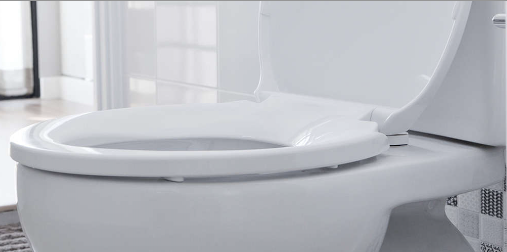 World Toilet Day