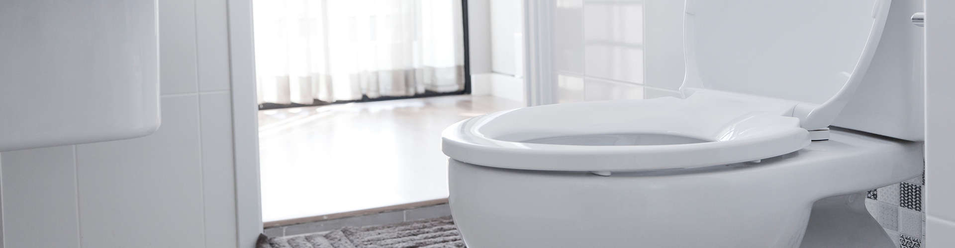 World Toilet Day