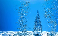 Tis the Season to Give Thanks…for Water!
