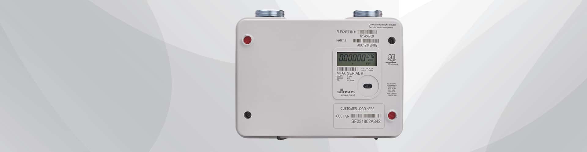 Why Every Gas Utility Needs to Consider 425 Class Ultrasonic Meters