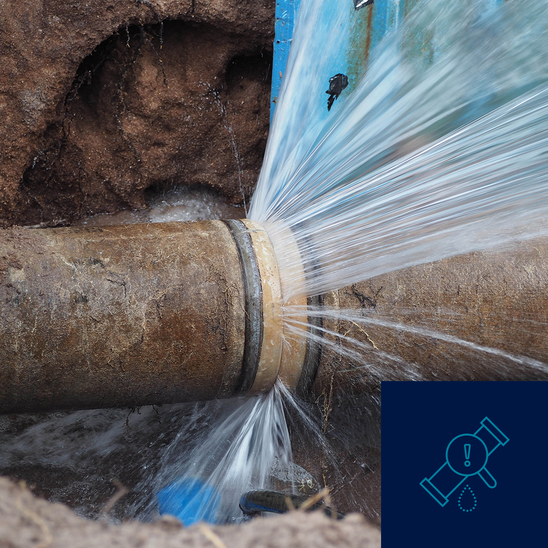 Xylem Water Loss Management