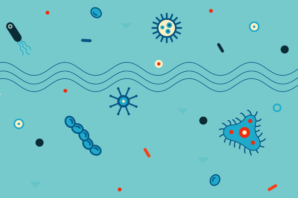 Water impurities