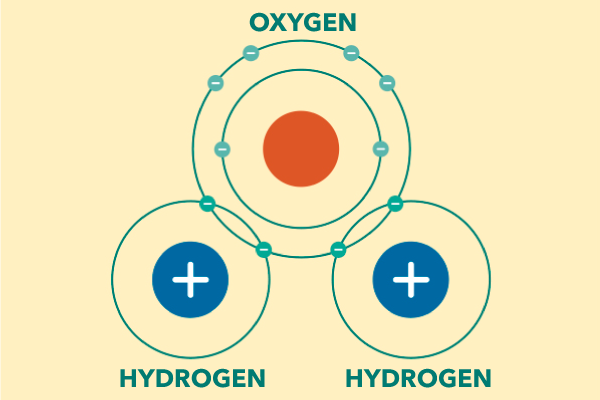 Water molecule