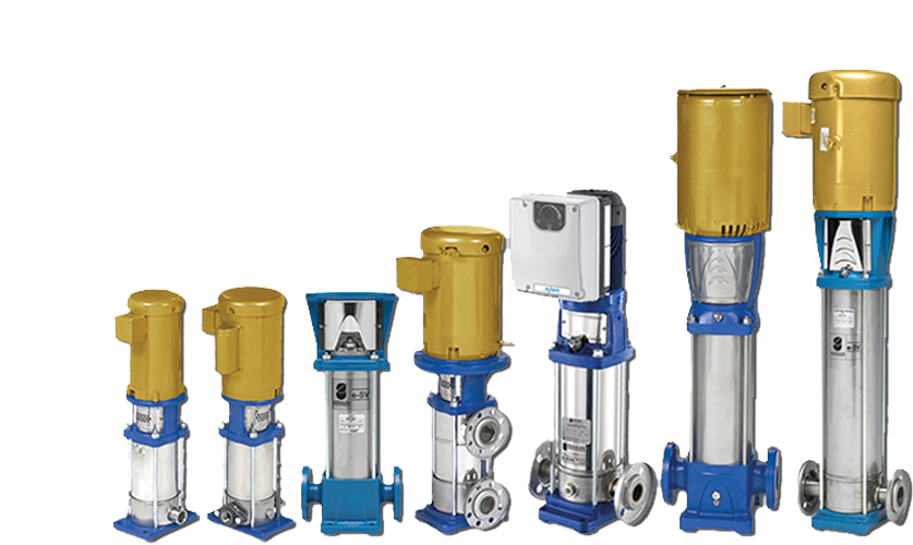 eSV