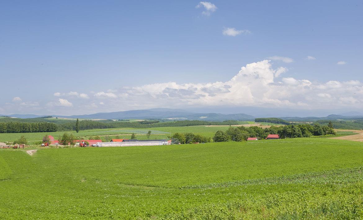 Agricultură