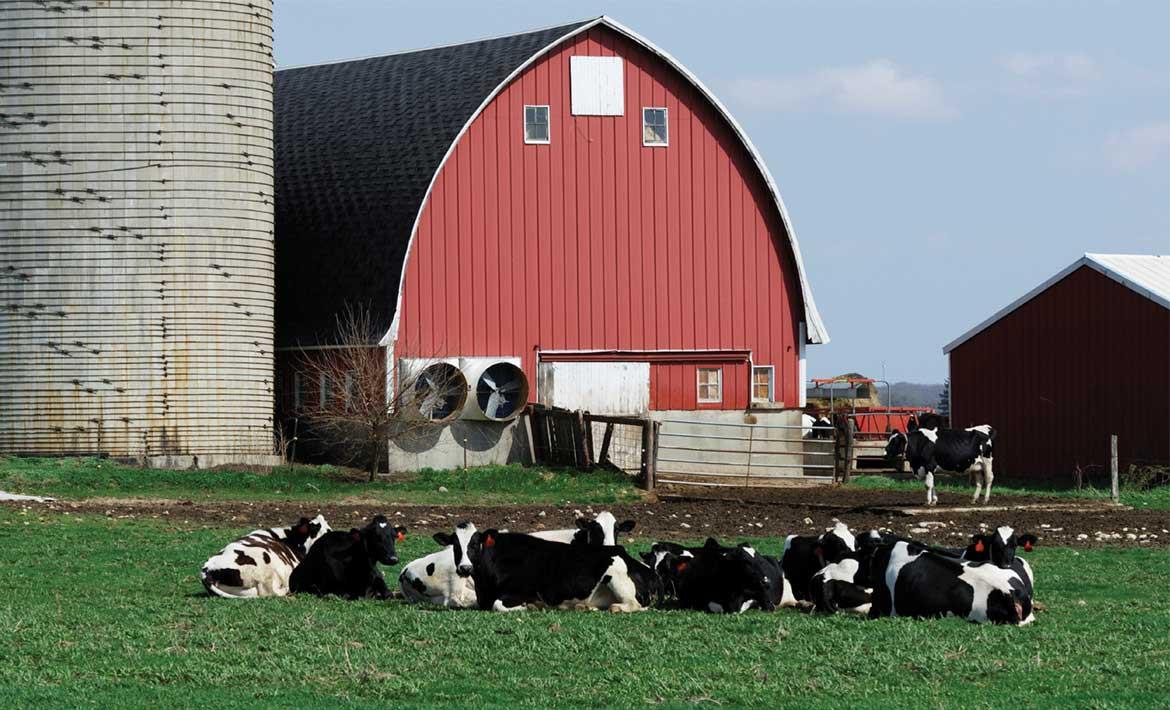 Biogas