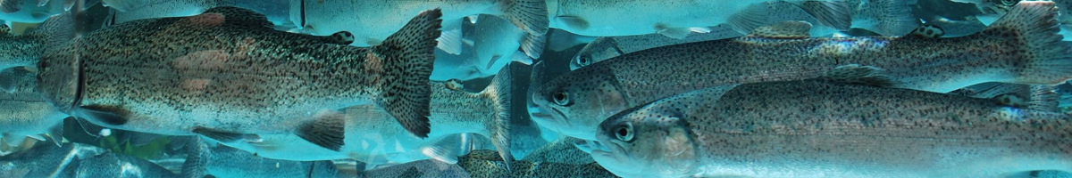 Aquaculture