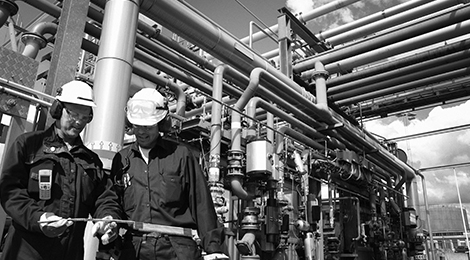 Industria y Celulosa