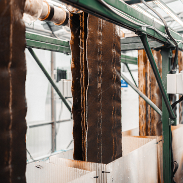 How the city of Pasco is turning industrial wastewater into a community resource