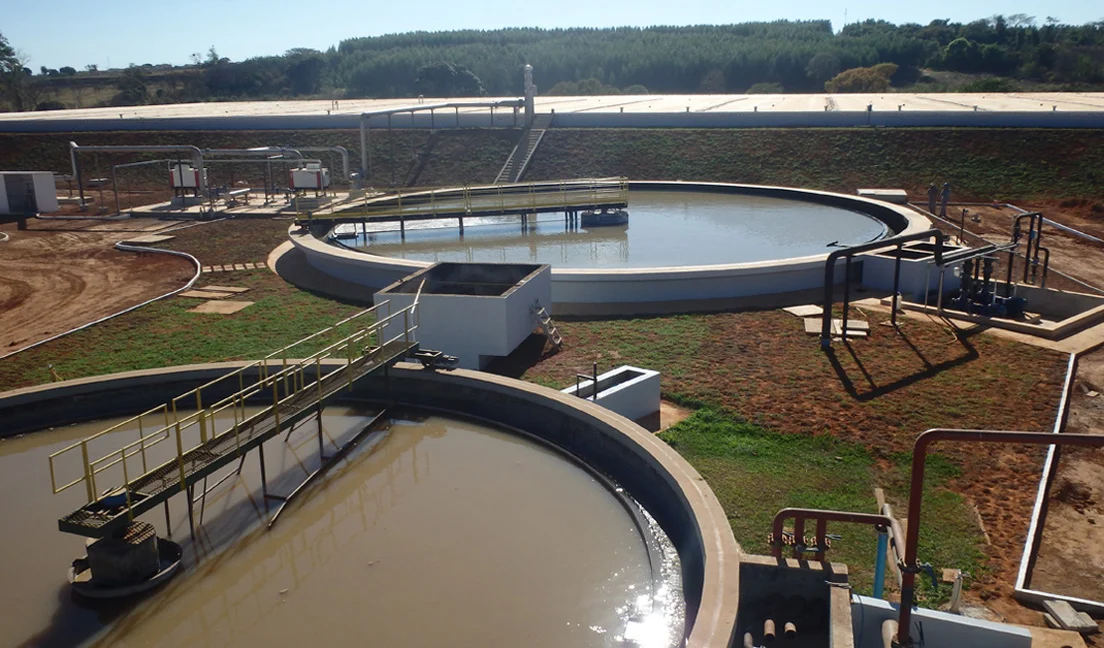 BVF reactor
