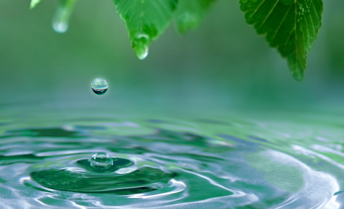 Upper Gwynedd Township, PA. Wastewater Treatment Facility case study image. Image depicts water dripping off a leaf and into a body of water