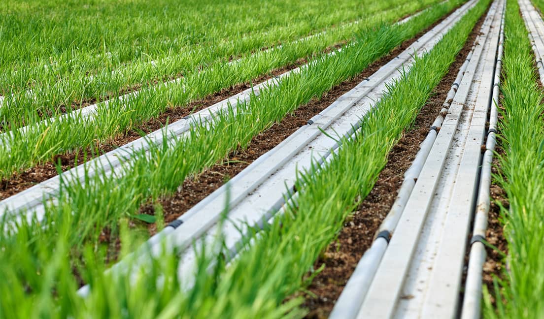 Indoor Irrigation Operation Sees Significant Improvements in System's Performance