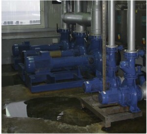 AG-02-300x272.jpg