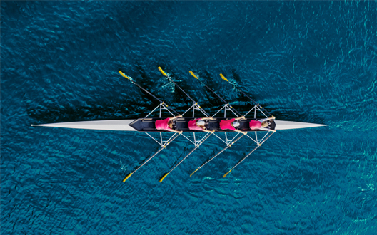 Request that our suppliers disclose sustainability information via EcoVadis or equivalent
