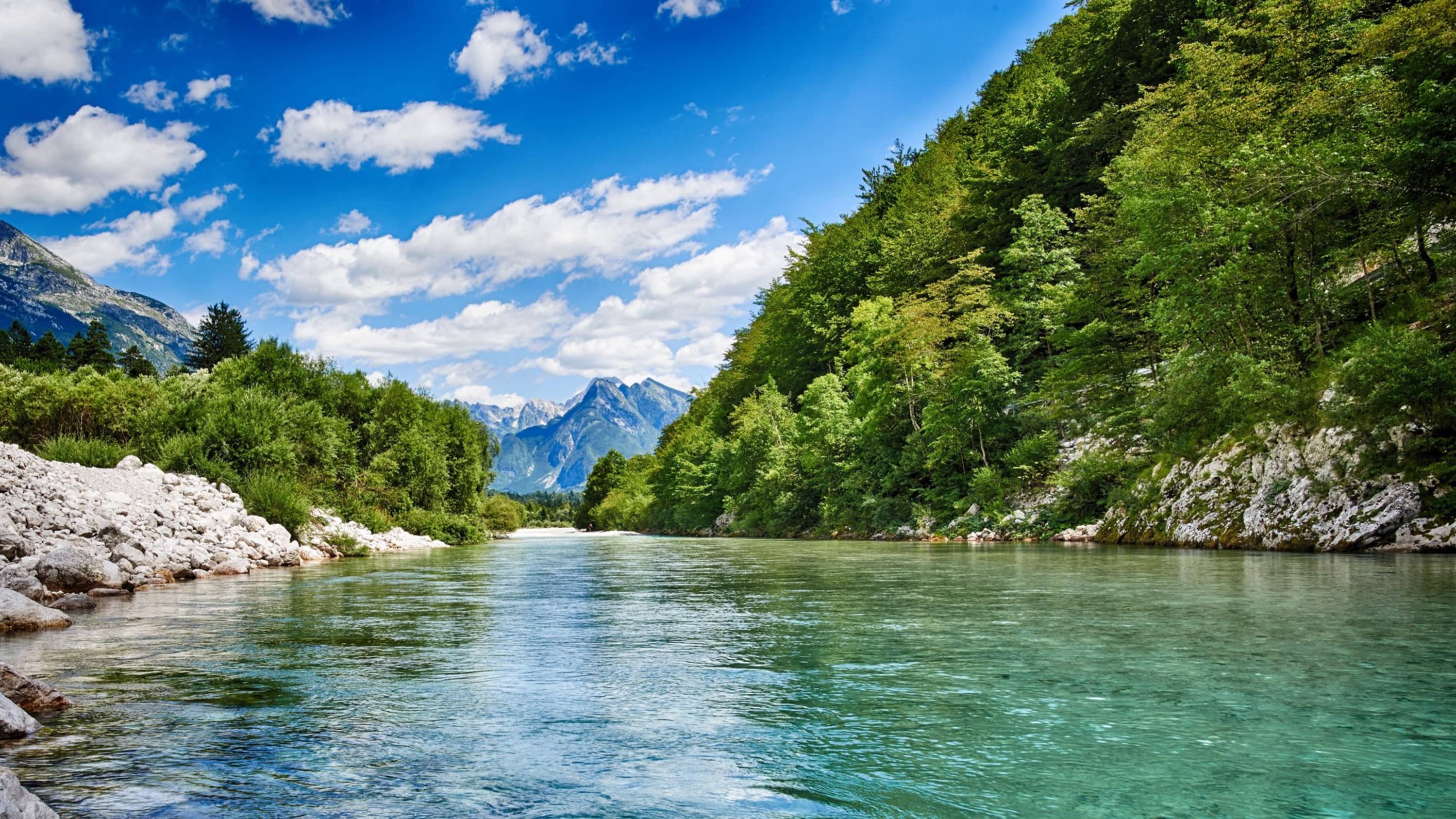 Water management
